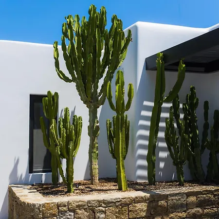 Hotell Noima Boutique Mykonos Agios Ioannis Diakoftis