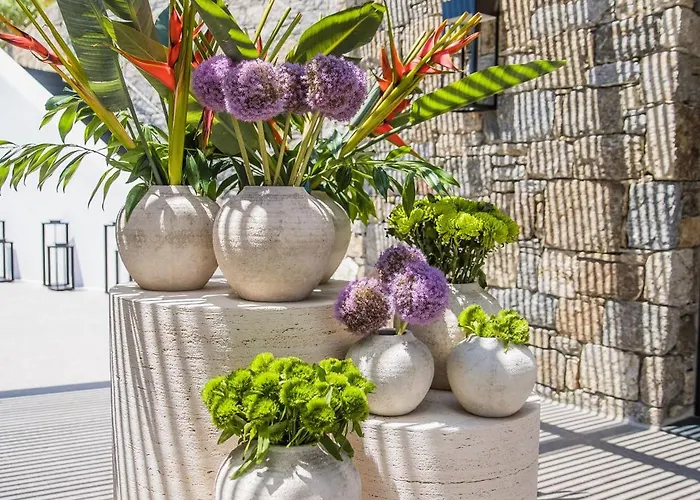 فندق Noima Boutique Mykonos Agios Ioannis Diakoftis