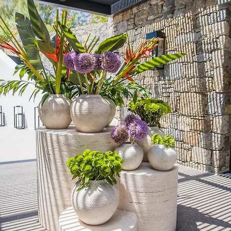 ホテル Noima Boutique Mykonos Agios Ioannis Diakoftis