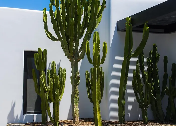 Hotel Noima Boutique Mykonos Agios Ioannis Diakoftis